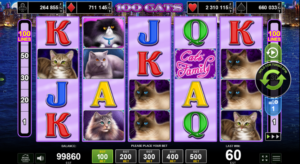 Cel Mai Mare Câștig al Slotului 100 Cats